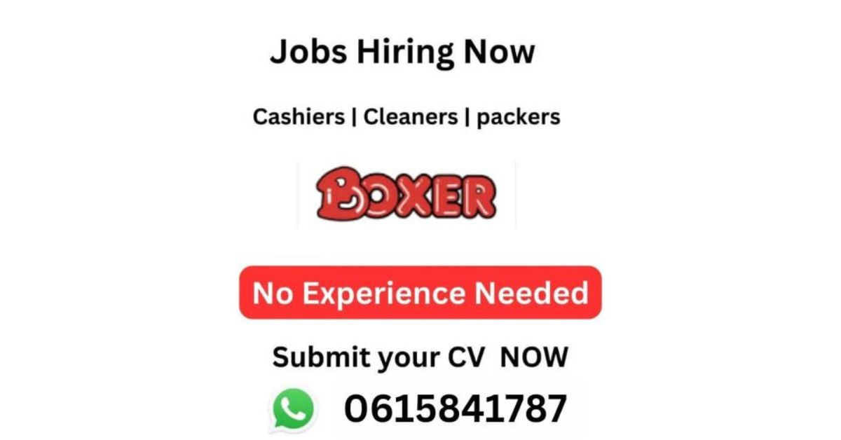 Apply for Boxer Cashier Jobs Hiring Now