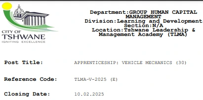 City Of Tshwane Various Apprenticeships for 2025